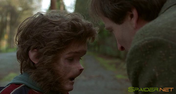 Джуманджи / Jumanji (1995) BDRip 6 Джуманджи / Jumanji (1995) BDRip 6