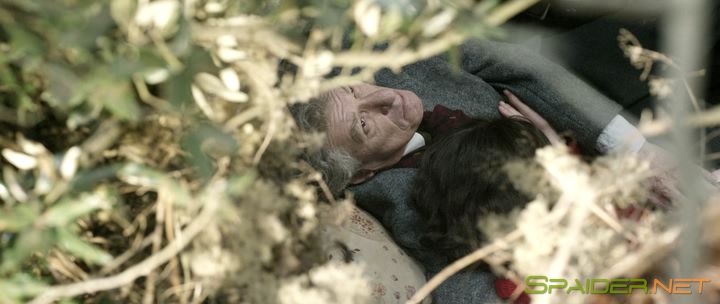 Последний портрет / Final Portrait (2017) BDRip | Лицензия 0 Последний портрет / Final Portrait (2017) BDRip | Лицензия 0