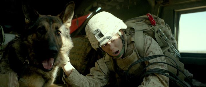 Меган Ливи / Megan Leavey (2017) BDRip | iTunes 0 Меган Ливи / Megan Leavey (2017) BDRip | iTunes 0