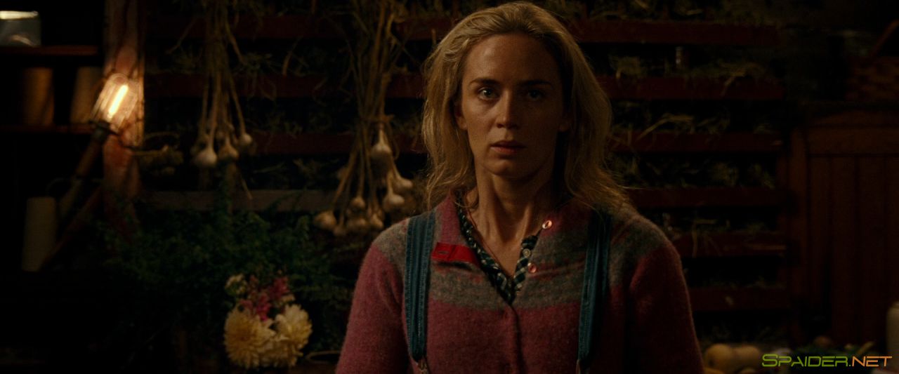 Тихое место / A Quiet Place (2018) BDRip 1080p | iTunes 1 Тихое место / A Quiet Place (2018) BDRip 1080p | iTunes 1