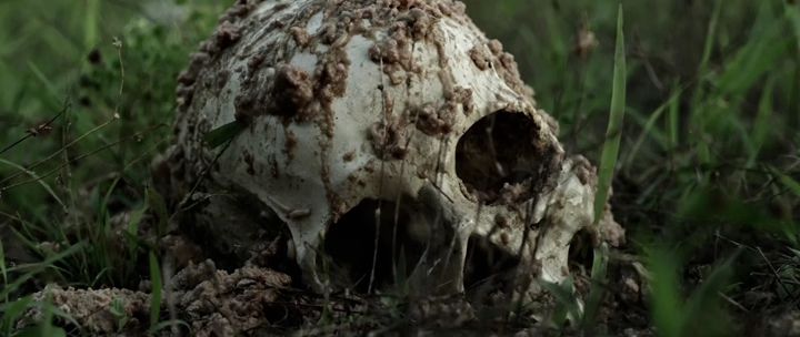 Гастрольный тур: Остаться в живых / Days of Power (2017) HDRip | L1 7 Гастрольный тур: Остаться в живых / Days of Power (2017) HDRip | L1 7