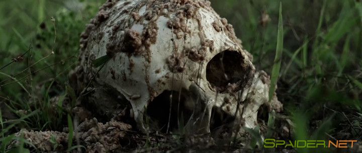 Гастрольный тур: Остаться в живых / Days of Power (2017) HDRip | L1 7 Гастрольный тур: Остаться в живых / Days of Power (2017) HDRip | L1 7