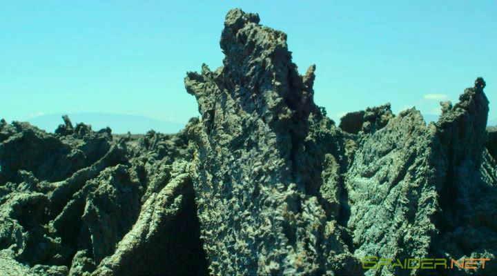 Земля: Один потрясающий день / Earth: One Amazing Day (2017) BDRip | Лицензия 1 Земля: Один потрясающий день / Earth: One Amazing Day (2017) BDRip | Лицензия 1