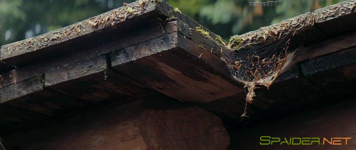 Расплата / A Reckoning (2018) WEB-DLRip | L 1 Расплата / A Reckoning (2018) WEB-DLRip | L 1