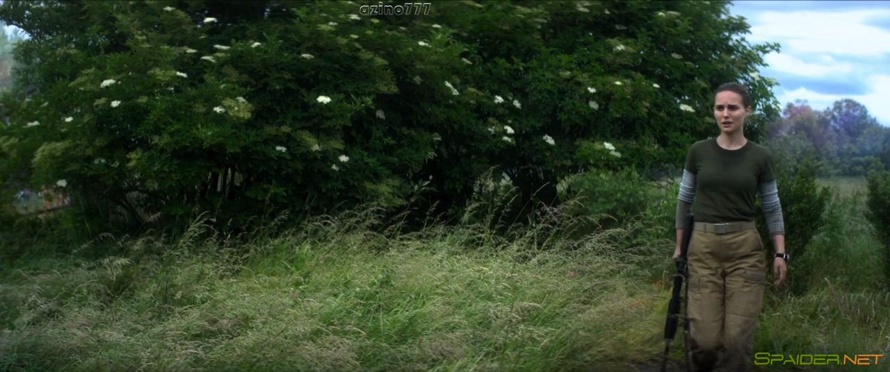 Аннигиляция / Annihilation (2018) WEB-DL 720p | Чистый звук 2 Аннигиляция / Annihilation (2018) WEB-DL 720p | Чистый звук 2