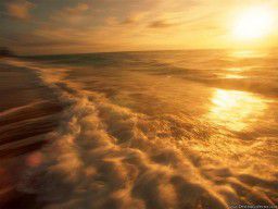 Храни меня дождь