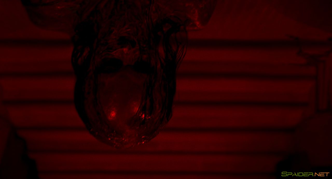 Суспирия / Suspiria (2018) BDRip 1080p | iTunes 5 Суспирия / Suspiria (2018) BDRip 1080p | iTunes 5