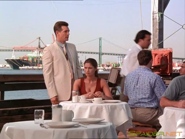 Стеклянная клетка / The Glass Cage (1996) TVRip 18 Стеклянная клетка / The Glass Cage (1996) TVRip 18