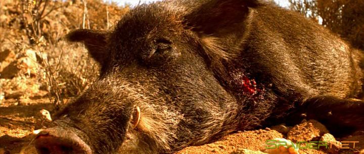 Грязные делишки / Dirty Deeds (2002) DVDRip 6 Грязные делишки / Dirty Deeds (2002) DVDRip 6