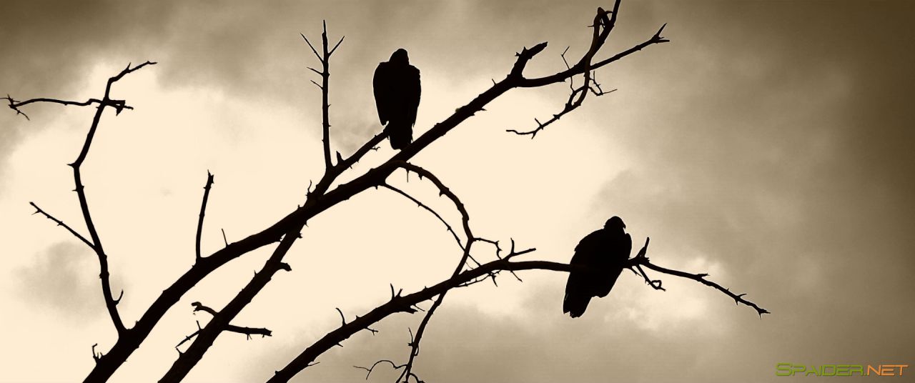 Бюро человечества / The Humanity Bureau (2017) BDRip 1080p | Чистый звук 1 Бюро человечества / The Humanity Bureau (2017) BDRip 1080p | Чистый звук 1