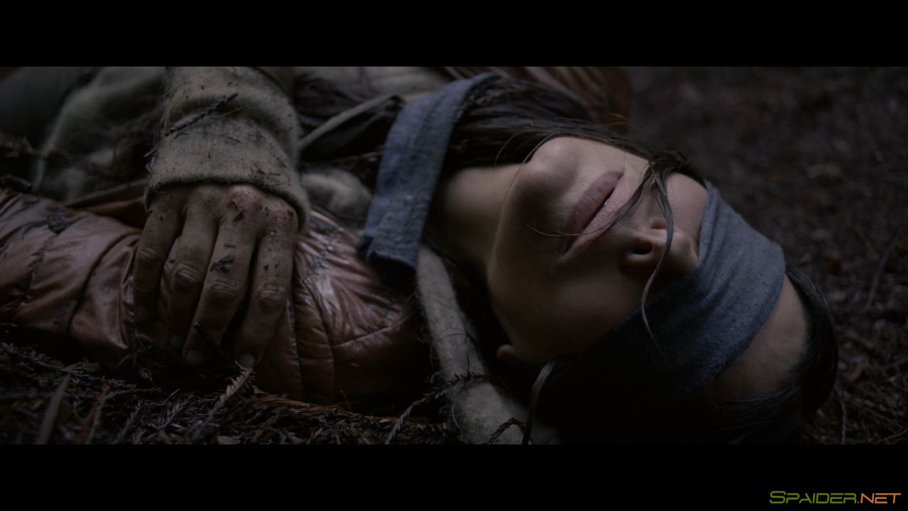 Птичий короб / Bird Box (2018) WEB-DL 1080p | Sub 4 Птичий короб / Bird Box (2018) WEB-DL 1080p | Sub 4