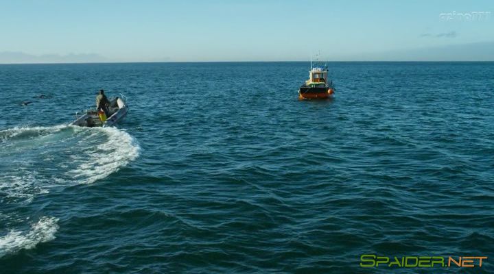 Глубокое синее море 2 / Deep Blue Sea 2 (2018) HDRip | L 0 Глубокое синее море 2 / Deep Blue Sea 2 (2018) HDRip | L 0