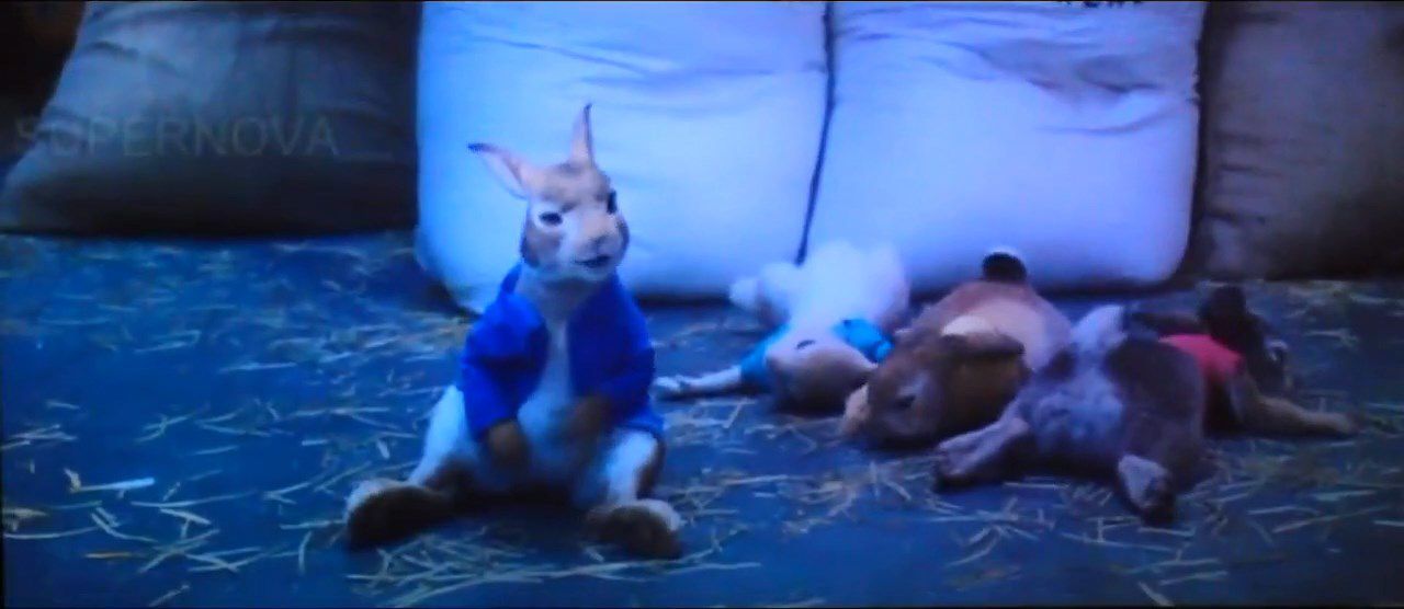 Кролик Питер / Peter Rabbit (2018) CAMRip 720p | L 1 Кролик Питер / Peter Rabbit (2018) CAMRip 720p | L 1