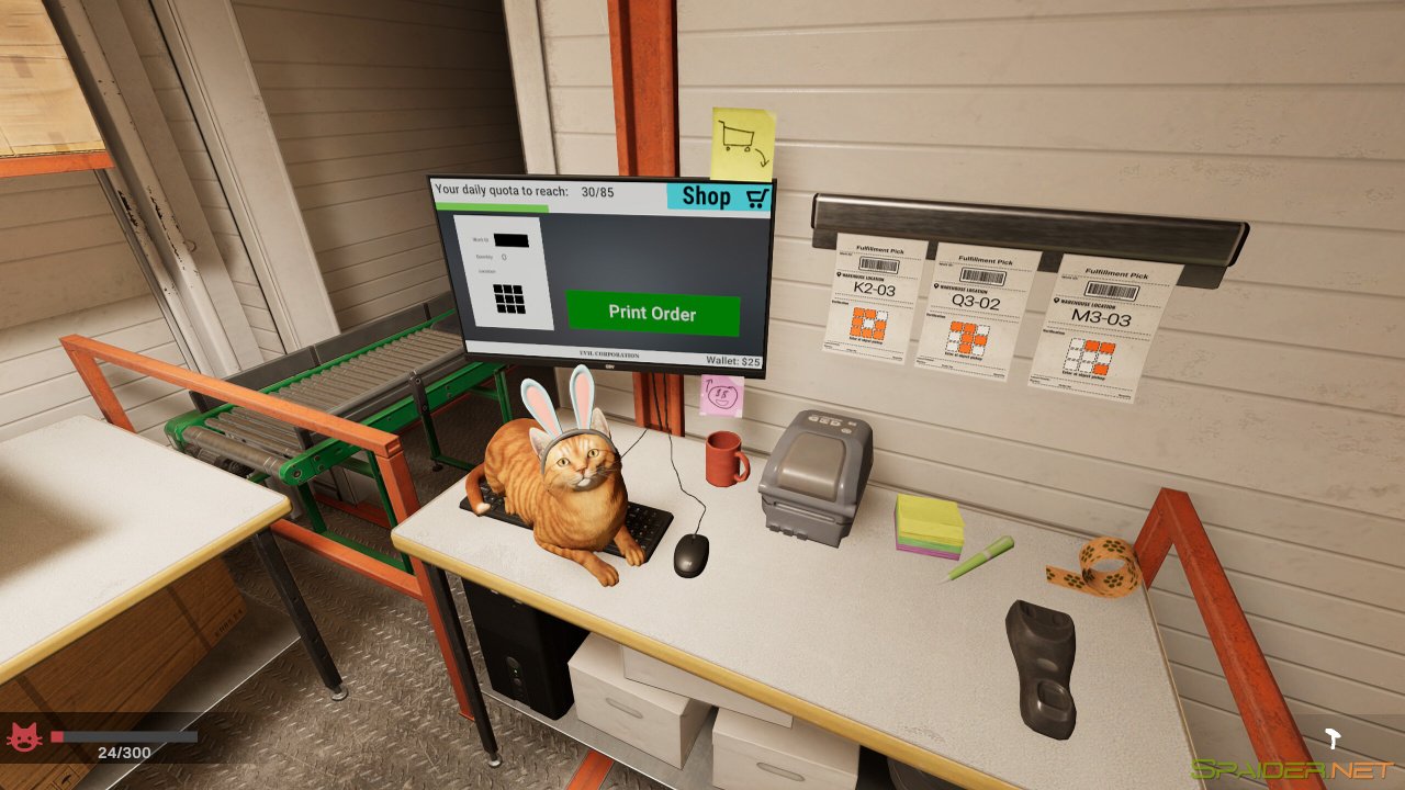 Order 13 2 Order 13 2