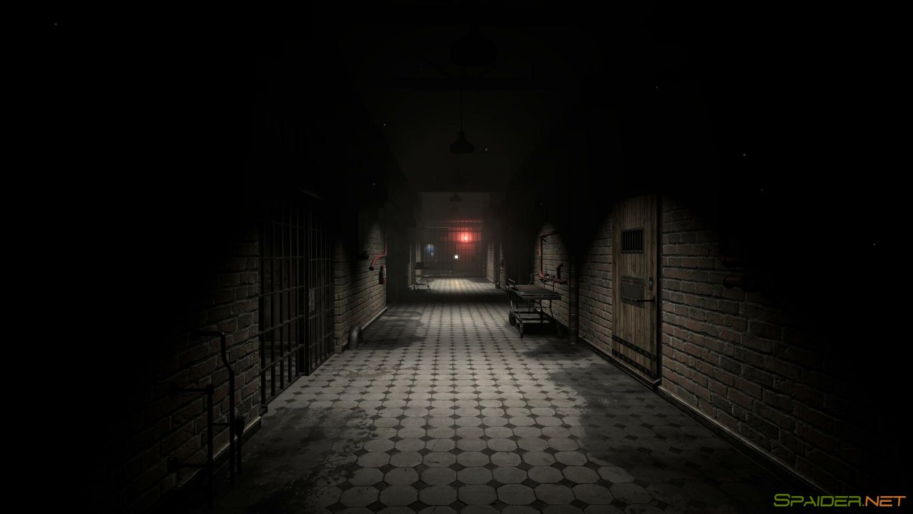 Sphenoid 3 Sphenoid 3