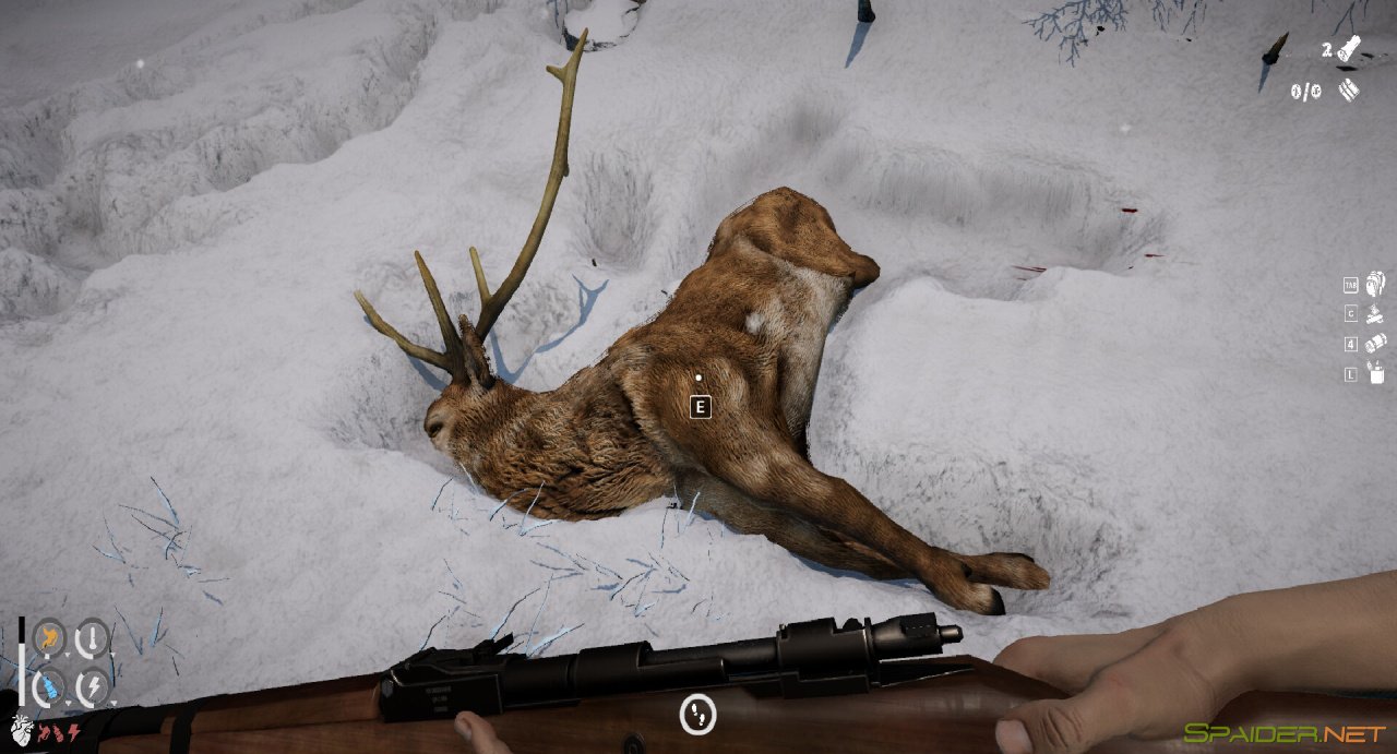 Short Snow 1 Short Snow 1