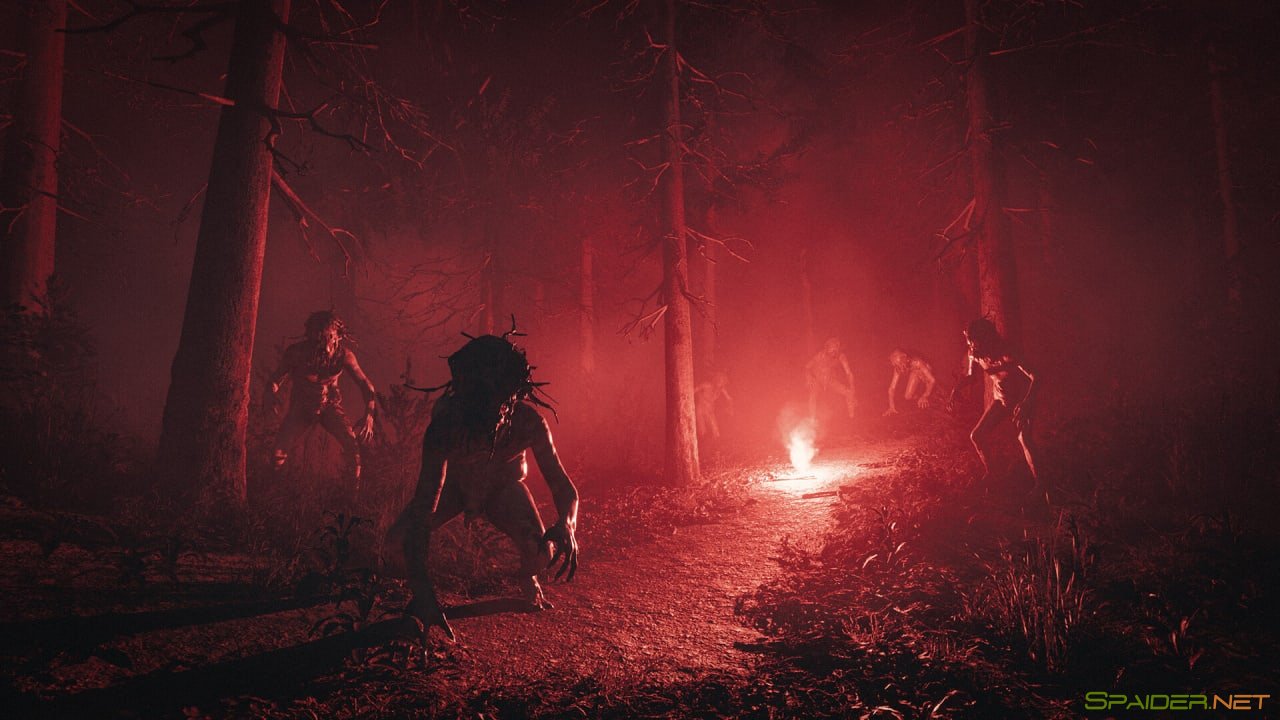 Pine Harbor 1 Pine Harbor 1