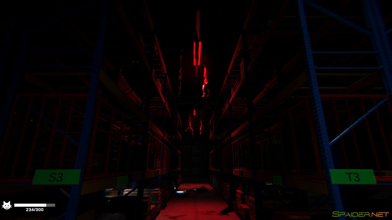 Order 13 3 Order 13 3