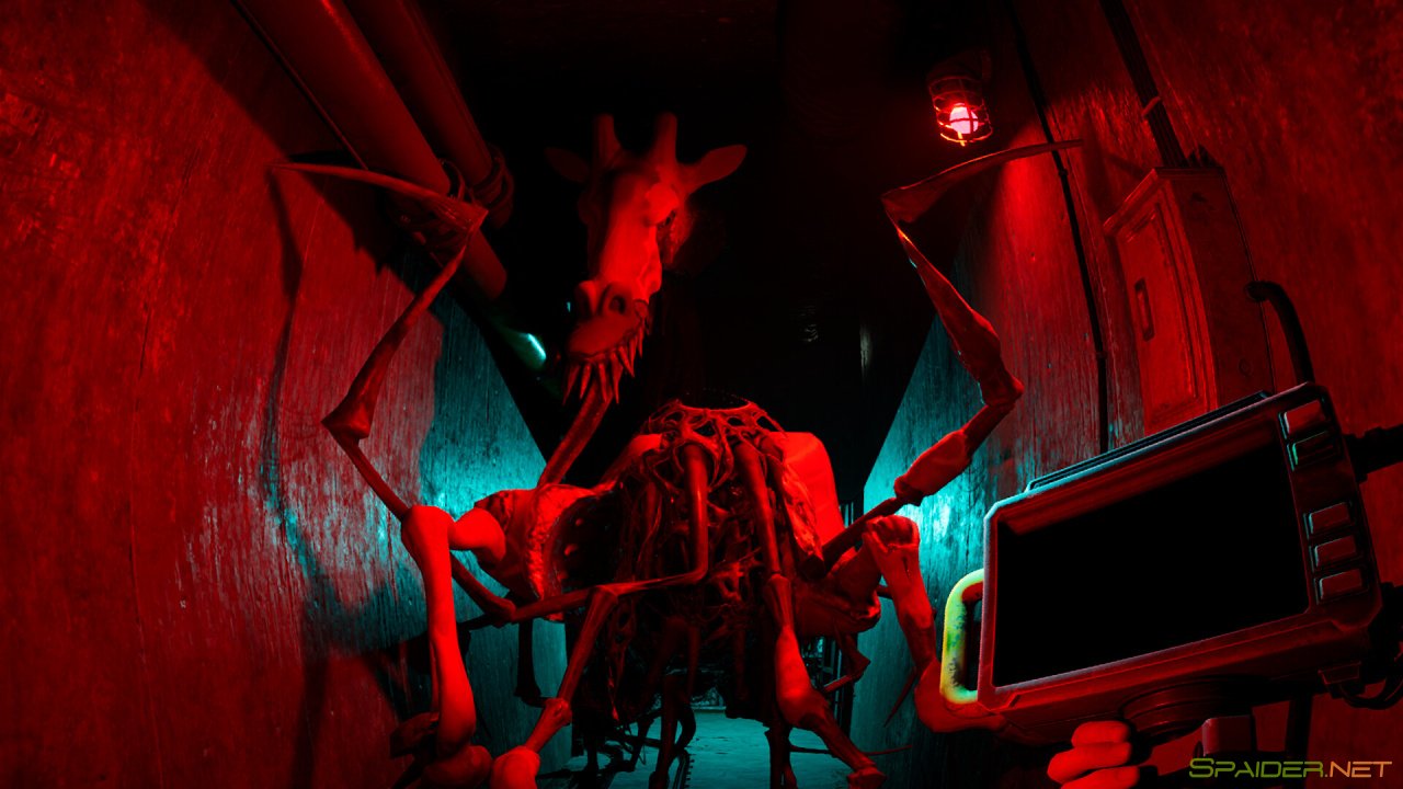 Zoochosis 0 Zoochosis 0