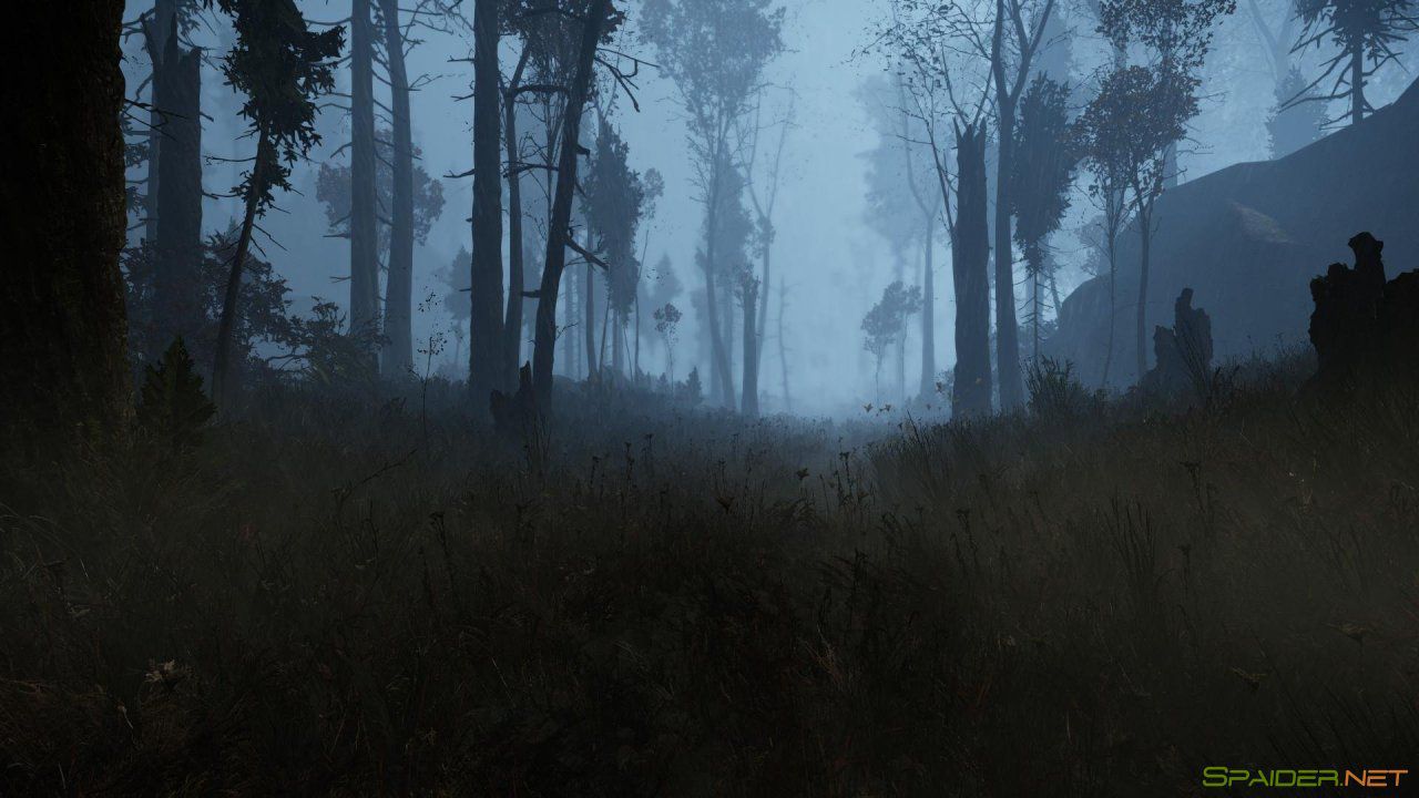 The Land of Pain 1 The Land of Pain 1