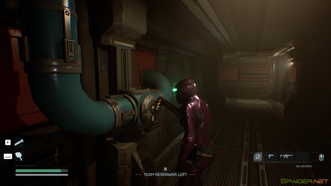 Species: Unknown 3 Species: Unknown 3