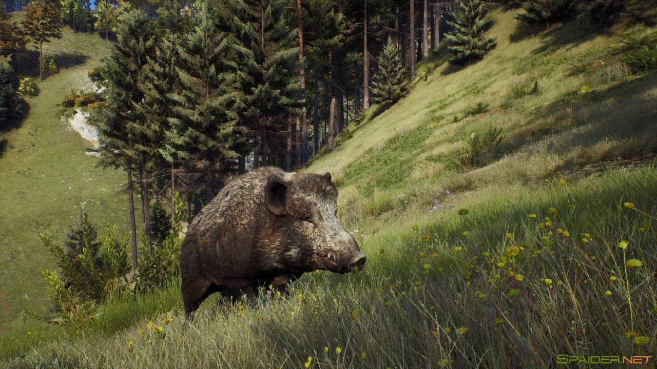 Way of the Hunter 0 Way of the Hunter 0