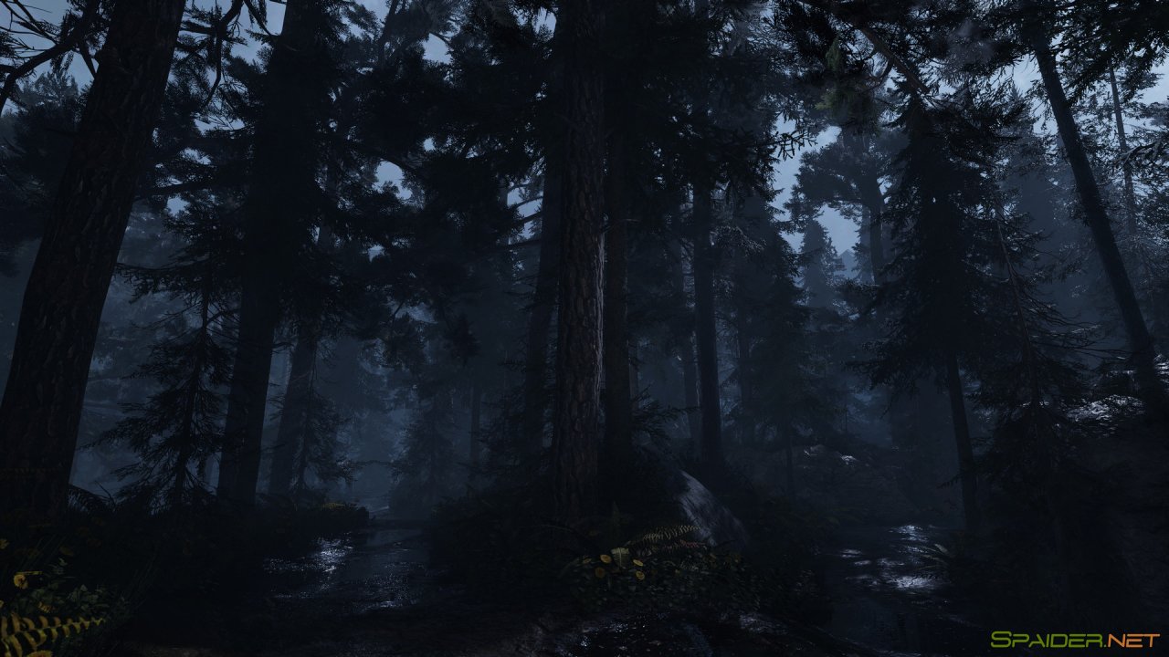 Projekt Z 3 Projekt Z 3