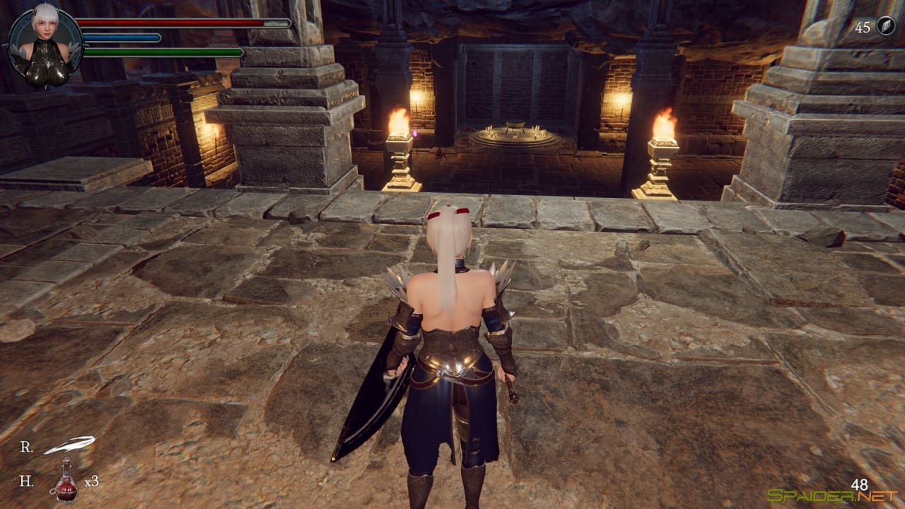 The Knight Girl and Dungeons 1 The Knight Girl and Dungeons 1