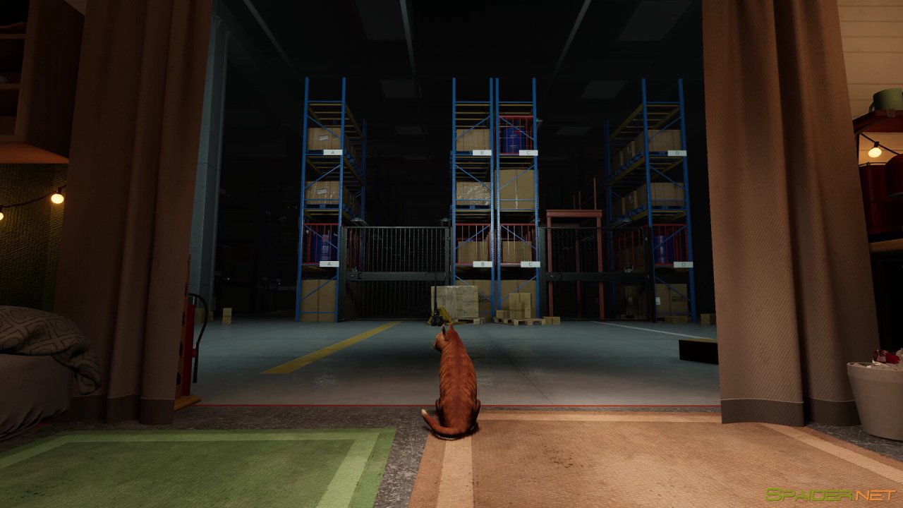 Order 13 0 Order 13 0