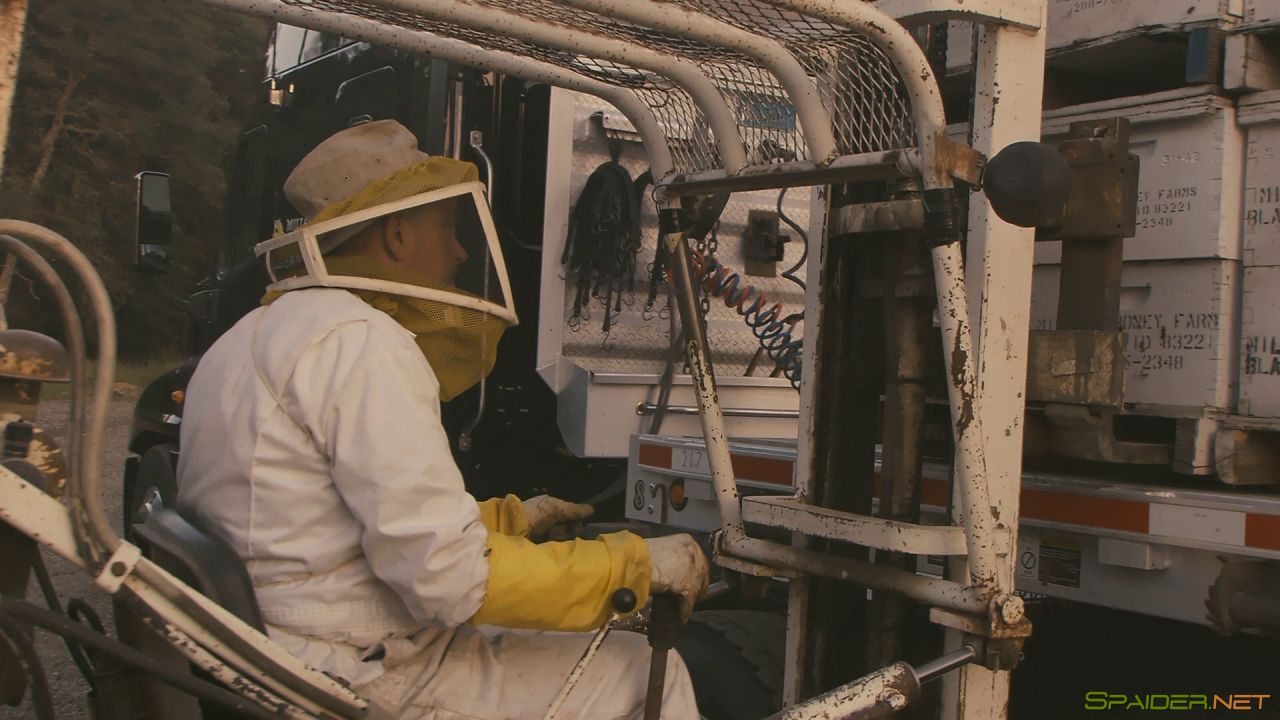 Больше чем мёд / More Than Honey (2012) BDRemux 1080p 5 Больше чем мёд / More Than Honey (2012) BDRemux 1080p 5