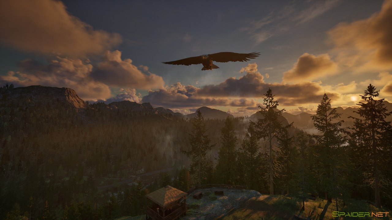 Rangers Path: National Park Simulator 0 Rangers Path: National Park Simulator 0