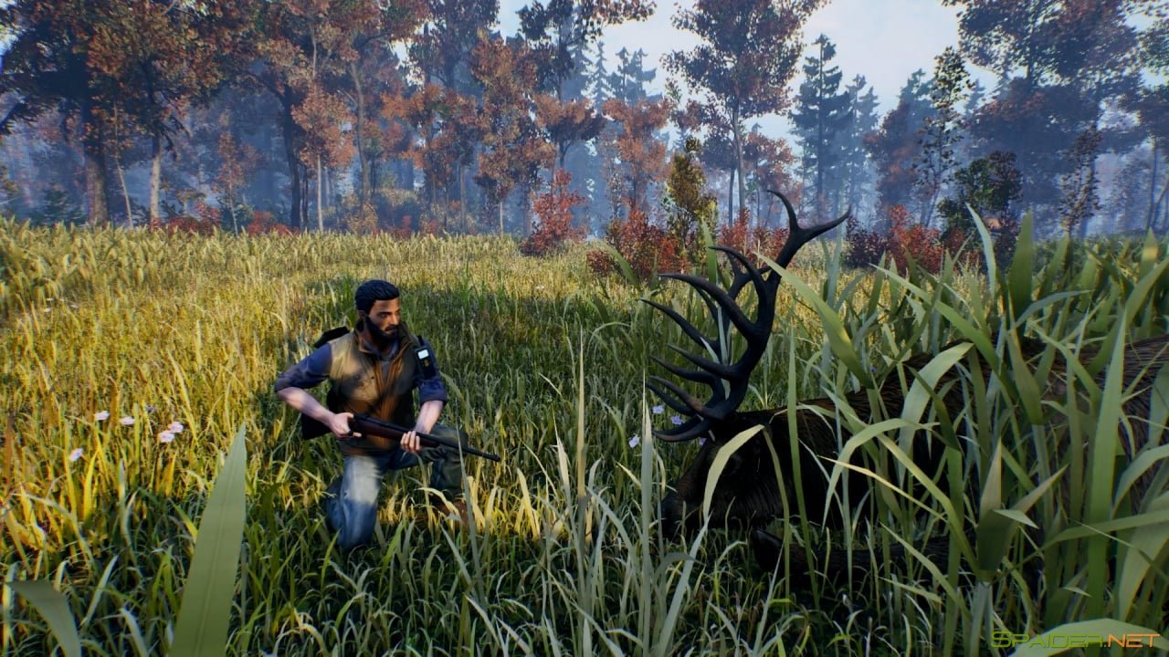 Open Country 2 Open Country 2