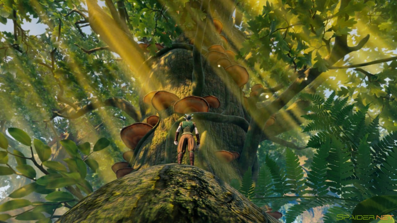 Smalland: Survive the Wilds 0 Smalland: Survive the Wilds 0