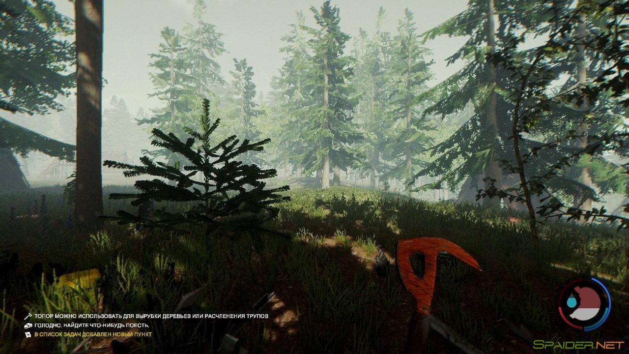 The Forest 1 The Forest 1