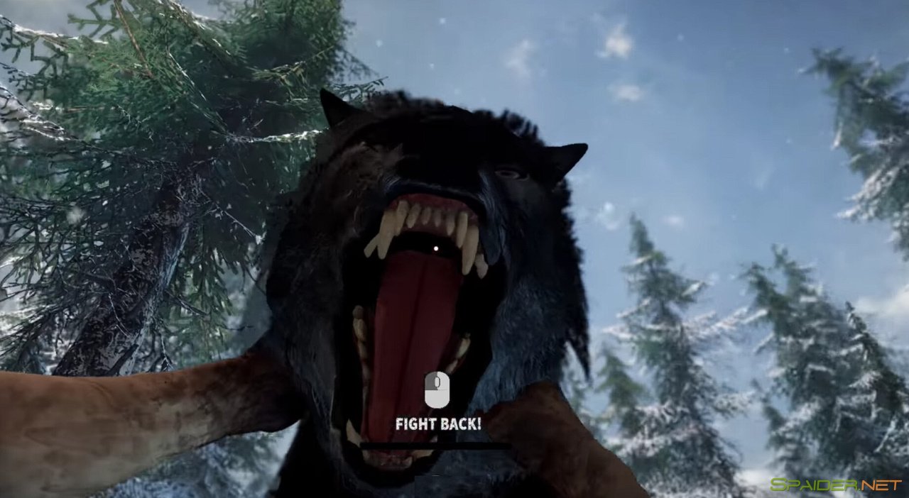 Short Snow 2 Short Snow 2