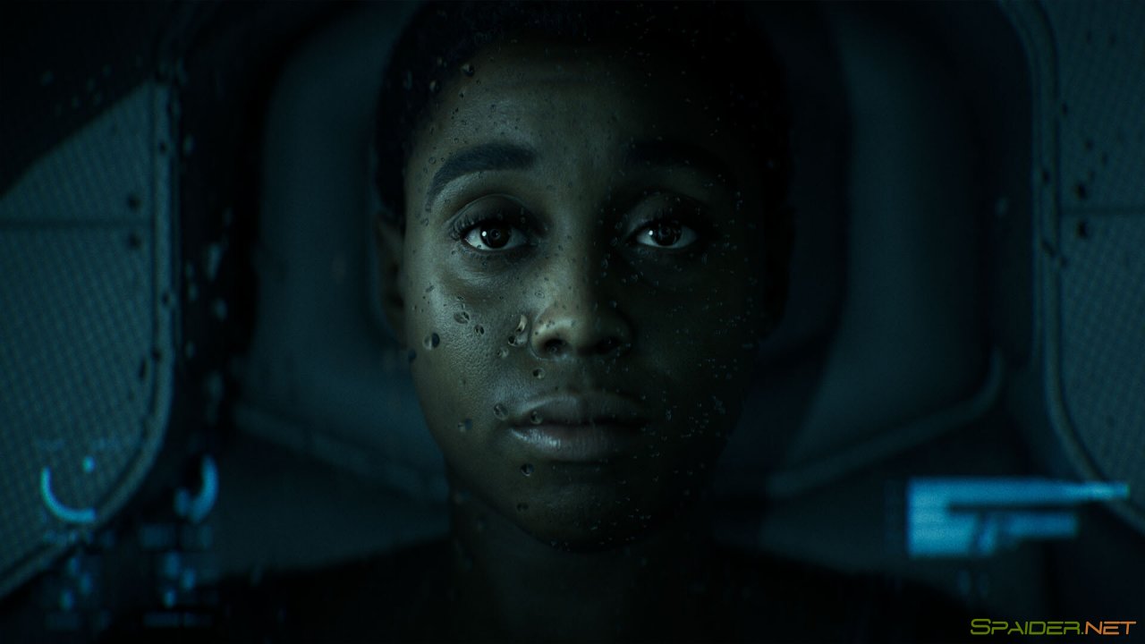 Directive 8020 3 Directive 8020 3